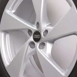 Winterräder 20 Zoll Audi Q5 SQ5 GU Original Felgen 8MA601025G Winterreifen 6-7mm DOT24 255/45R20 105V XL AO Michelin Pilot Alpin 5 5-Arm-Design silber 8x20ET39 - Bild 7